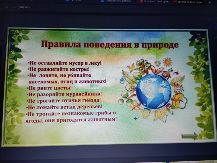 «Правила экологического отдыха на природе».